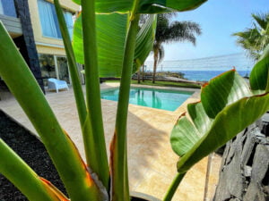 Villa Señorio de Nava showing the brand new swimming pool and solarium, completed august 2024